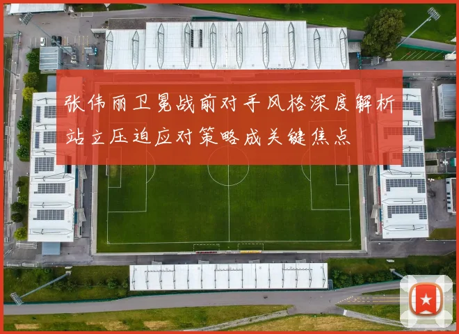 张伟丽卫冕战前对手风格深度解析站立压迫应对策略成关键焦点